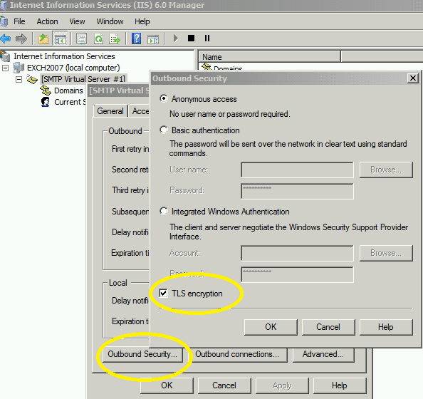 Enable outbound TLS in IIS SMTP